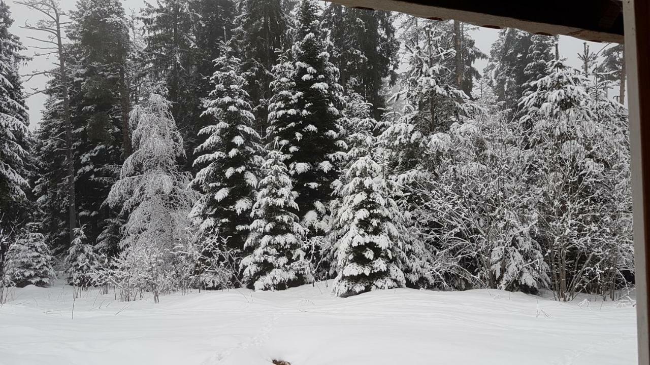 Chalet Taffski Borovets Extérieur photo
